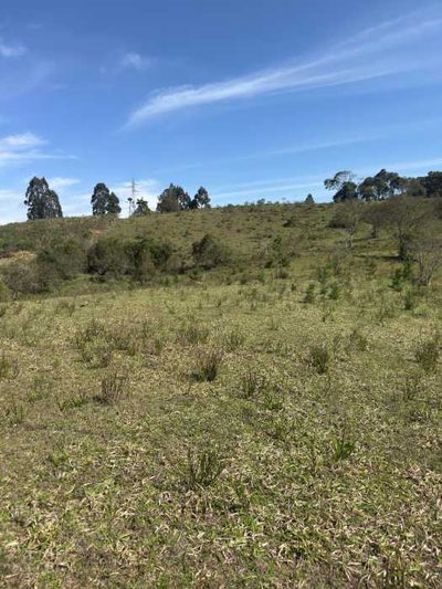 Chácara, 1 quarto - Foto 2