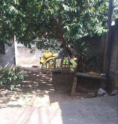 Terreno, 300 m² - Foto 2