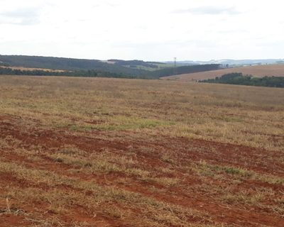 Fazenda, 1 quarto - Foto 3