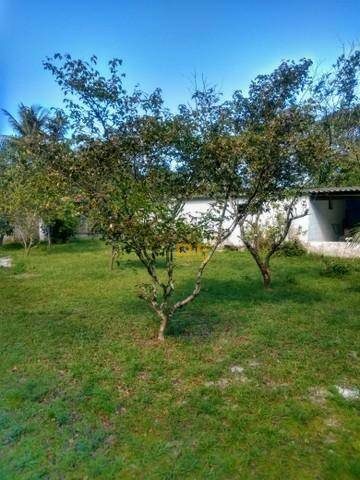 Chácara, 2 quartos, 1600 m² - Foto 4