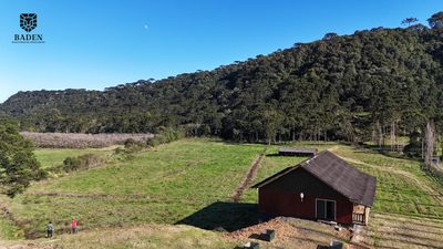 Chácara, 2 hectares - Foto 2