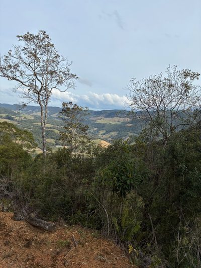 Sítio, 255 hectares - Foto 3