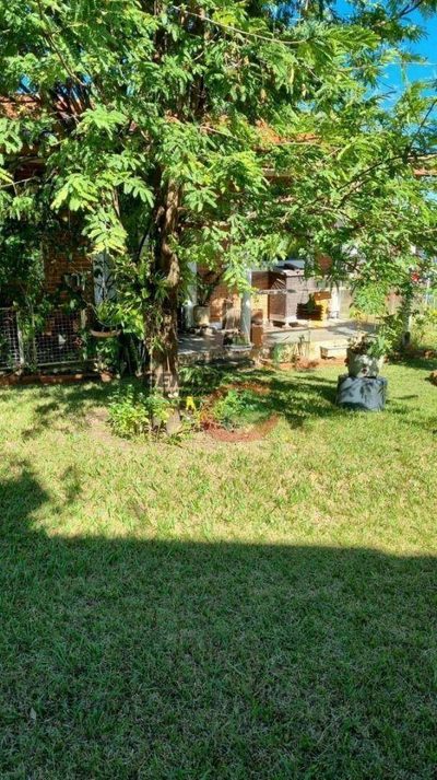 Chácara, 1 quarto, 1035 m² - Foto 2