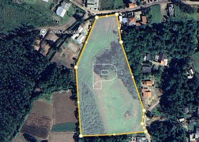 Terreno, 2 hectares - Foto 4