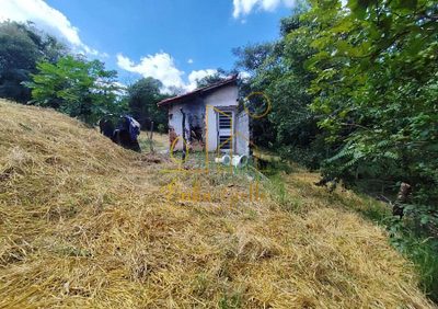 Sítio, 1 quarto, 6000 m² - Foto 2