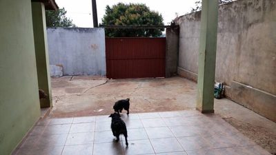 Casa, 3 quartos, 120 m² - Foto 5