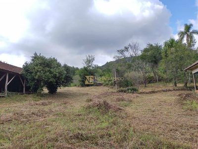 Sítio, 4 hectares - Foto 3