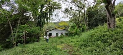 Terreno, 10 hectares - Foto 3