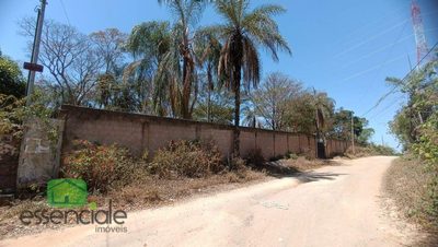Chácara, 3 quartos - Foto 5