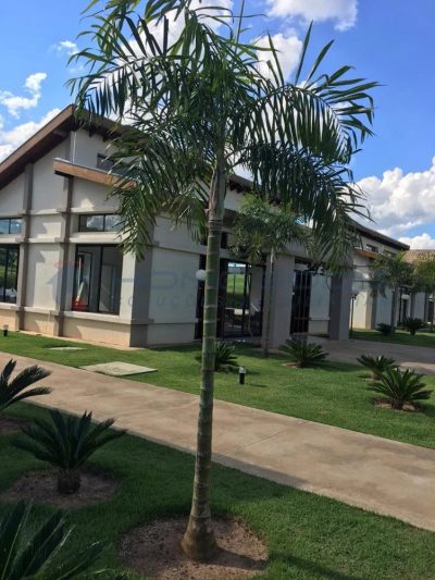 Terreno, 800 m² - Foto 3