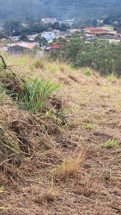 Terreno, 3 hectares - Foto 4