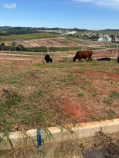 Terreno, 836 m² - Foto 3
