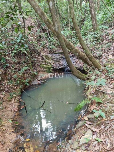 Terreno, 2 hectares - Foto 2