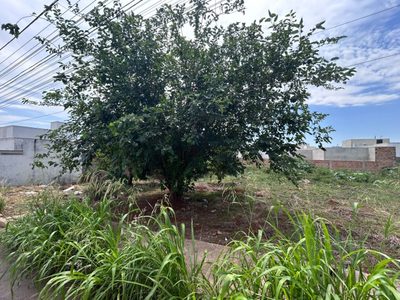Terreno, 294 m² - Foto 1