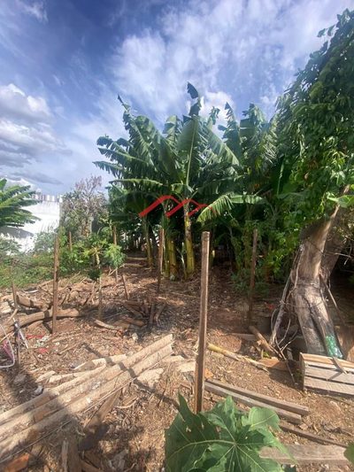 Terreno, 250 m² - Foto 3