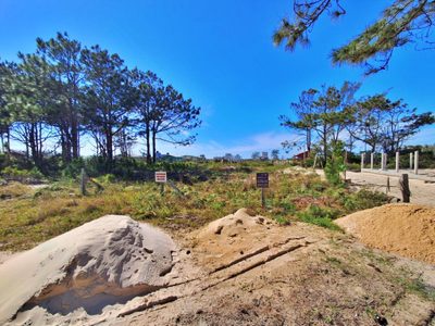 Terreno, 300 m² - Foto 5