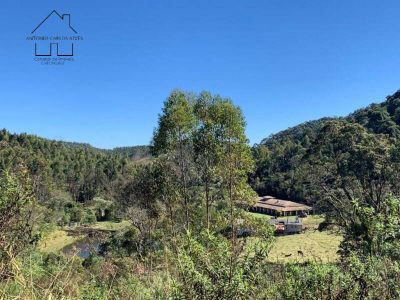 Fazenda, 61 hectares - Foto 3