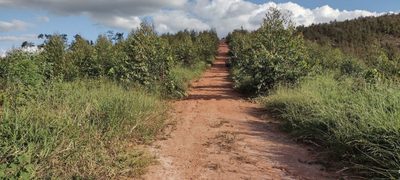 Fazenda, 150 m² - Foto 4