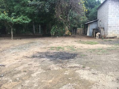 Terreno, 3 hectares - Foto 3