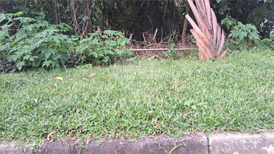 Casa de Condomínio - Foto 3