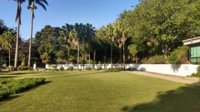 Fazenda, 385 hectares - Foto 5