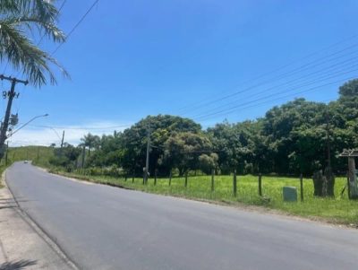 Terreno, 2 hectares - Foto 4