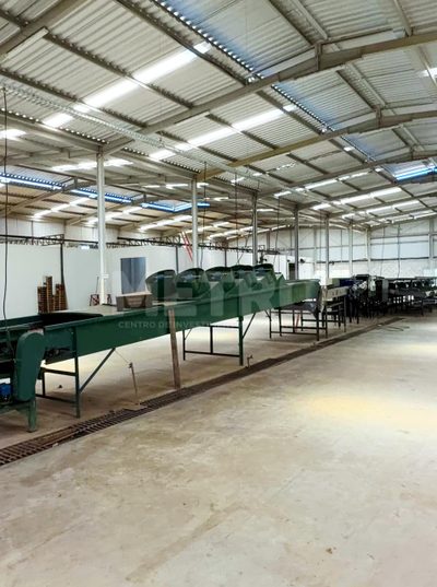 Fazenda - Foto 5