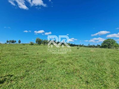 Terreno, 126 hectares - Foto 3