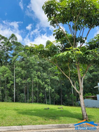 Terreno, 1180 m² - Foto 4