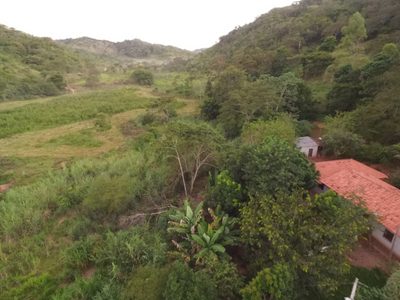 Terreno, 30 hectares - Foto 4