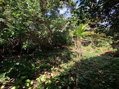Terreno, 448 m² - Foto 2