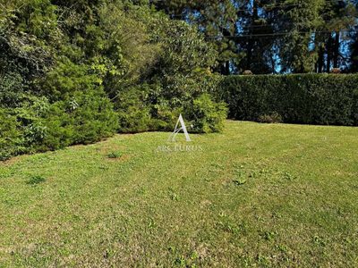 Terreno, 493 m² - Foto 2