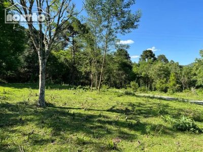 Terreno, 2 hectares - Foto 3