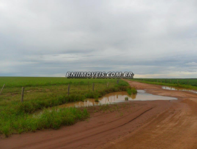 Fazenda, 17 hectares - Foto 4