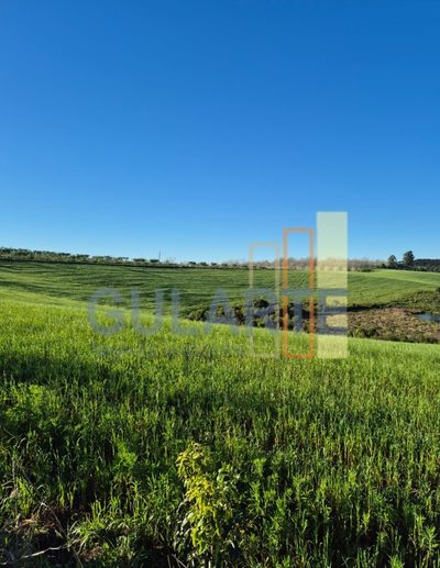 Fazenda, 63 hectares - Foto 4
