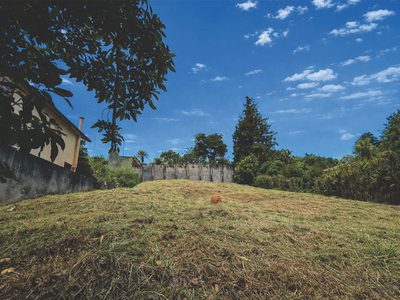 Terreno, 1000 m² - Foto 4