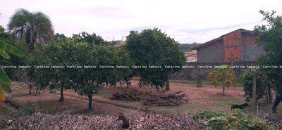 Terreno, 560 m² - Foto 4