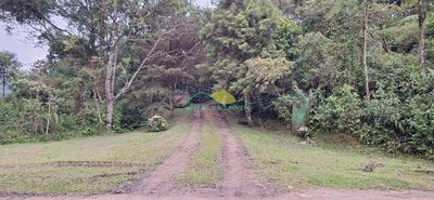 Chácara, 2 quartos, 3 hectares - Foto 4