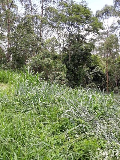 Terreno, 5700 m² - Foto 2
