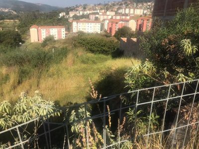 Terreno, 501 m² - Foto 5