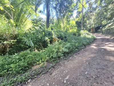 Terreno, 1 hectares - Foto 4