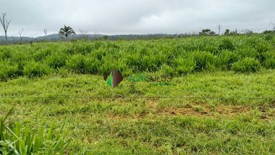 Terreno, 5 hectares - Foto 3