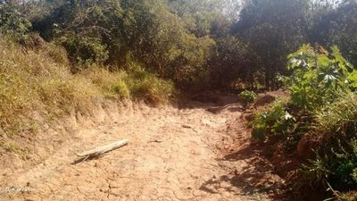 Terreno, 10000 m² - Foto 2