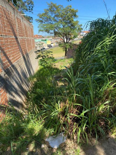 Terreno, 250 m² - Foto 4
