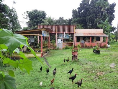 Fazenda, 25 hectares - Foto 4