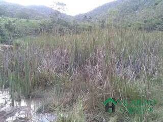 Fazenda, 450 m² - Foto 2