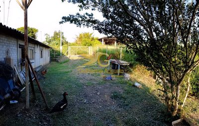 Sítio, 3 quartos, 600 m² - Foto 5