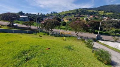 Casa, 4 quartos, 310 m² - Foto 4