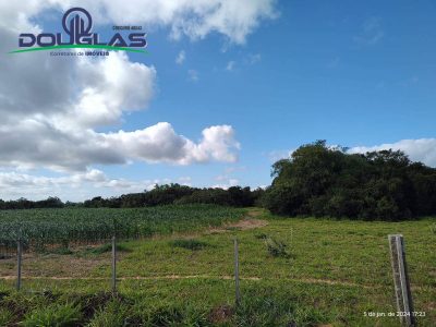 Terreno, 2 hectares - Foto 4