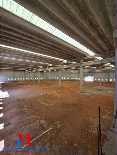 Depósito-Galpão, 5000 m² - Foto 5